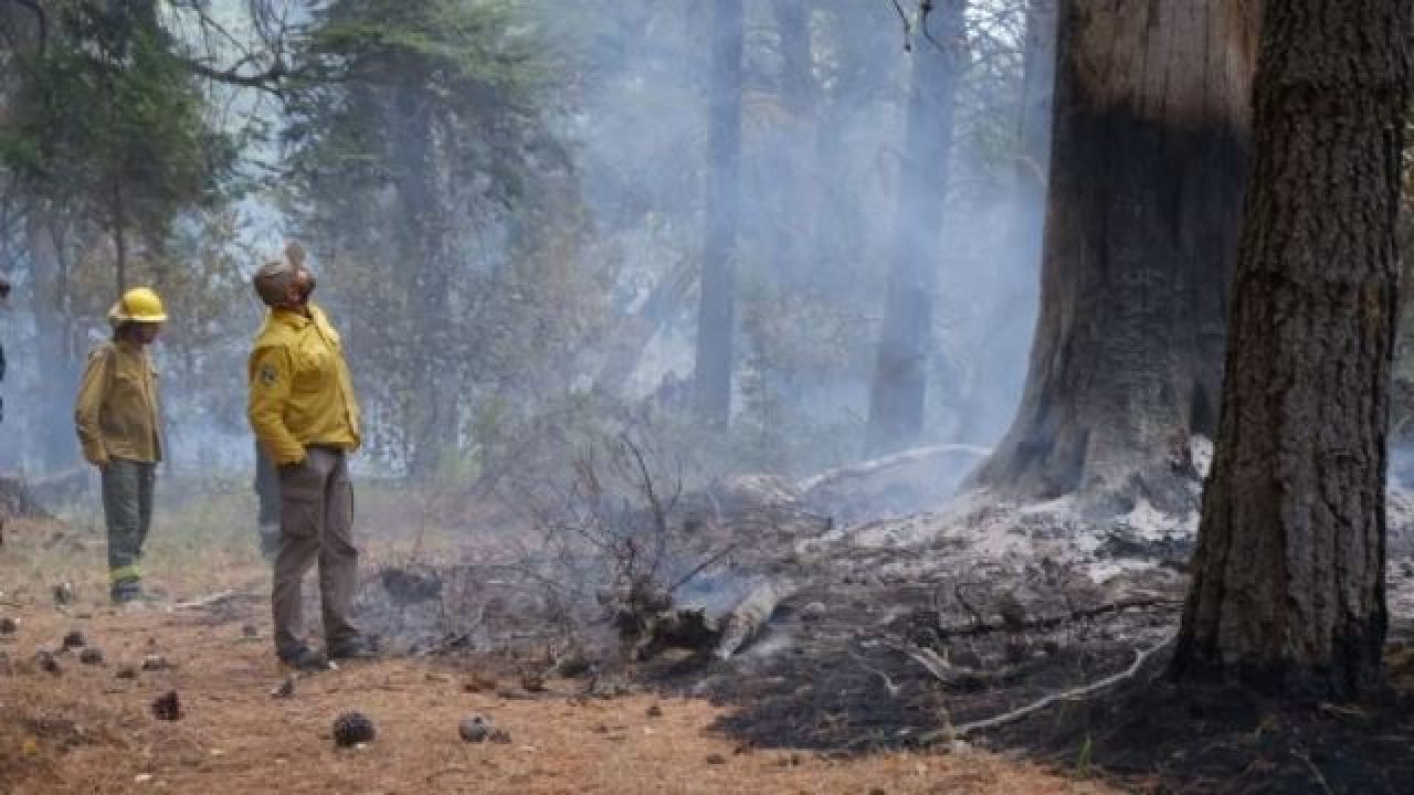 Alberto Fernández viaja este sábado a recorrer las zonas incendiadas de la  Patagonia | Cuestión Entrerriana